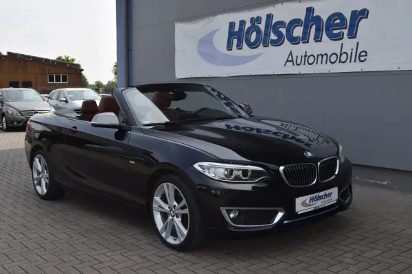 BMW 220i Cabrio Luxury Line, Automatik, aus dem Bestand von Hölscher Automobile Nordkirchen-Capelle — Hauptansicht
