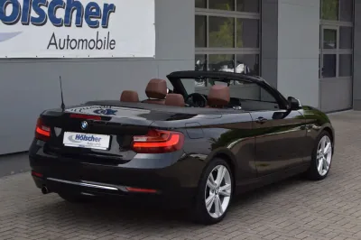 BMW 220i Cabrio Luxury Line, Automatik, aus dem Bestand von Hölscher Automobile Nordkirchen-Capelle — Ansicht 2