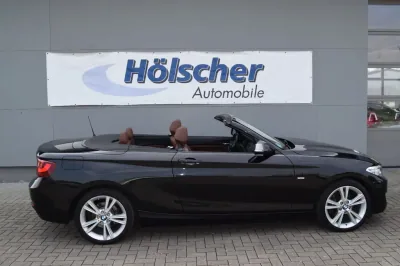 BMW 220i Cabrio Luxury Line, Automatik, aus dem Bestand von Hölscher Automobile Nordkirchen-Capelle — Ansicht 5