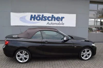 BMW 220i Cabrio Luxury Line, Automatik, aus dem Bestand von Hölscher Automobile Nordkirchen-Capelle — Ansicht 6