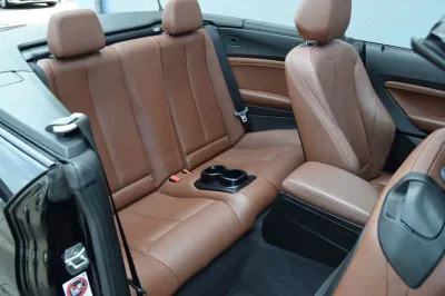 BMW 220i Cabrio Luxury Line, Automatik, aus dem Bestand von Hölscher Automobile Nordkirchen-Capelle — Ansicht 14